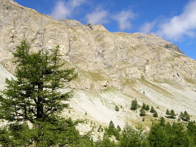 Cestou na Col du Cayolle