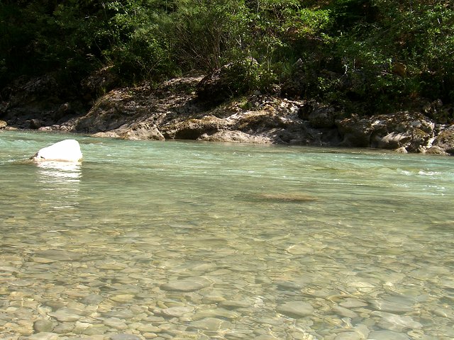 Verdon